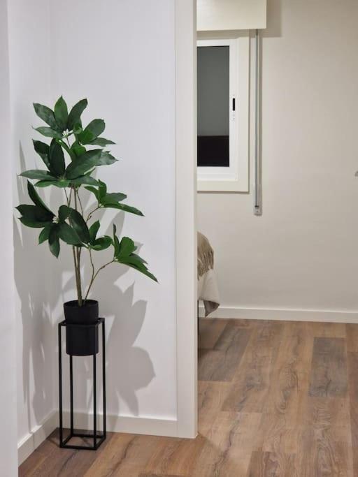 Atico Cork Vigo Exterior foto